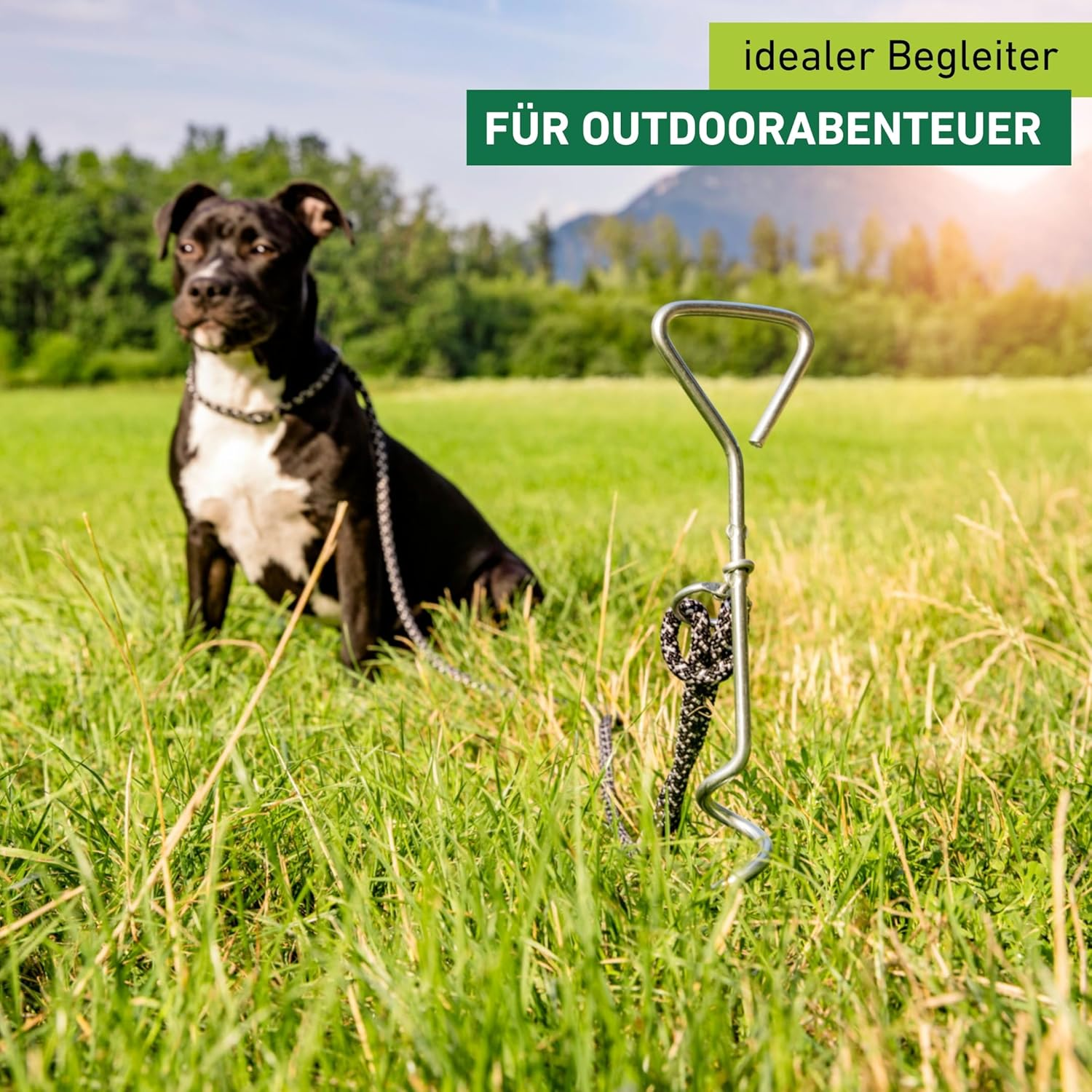 Bild 2 von 12
