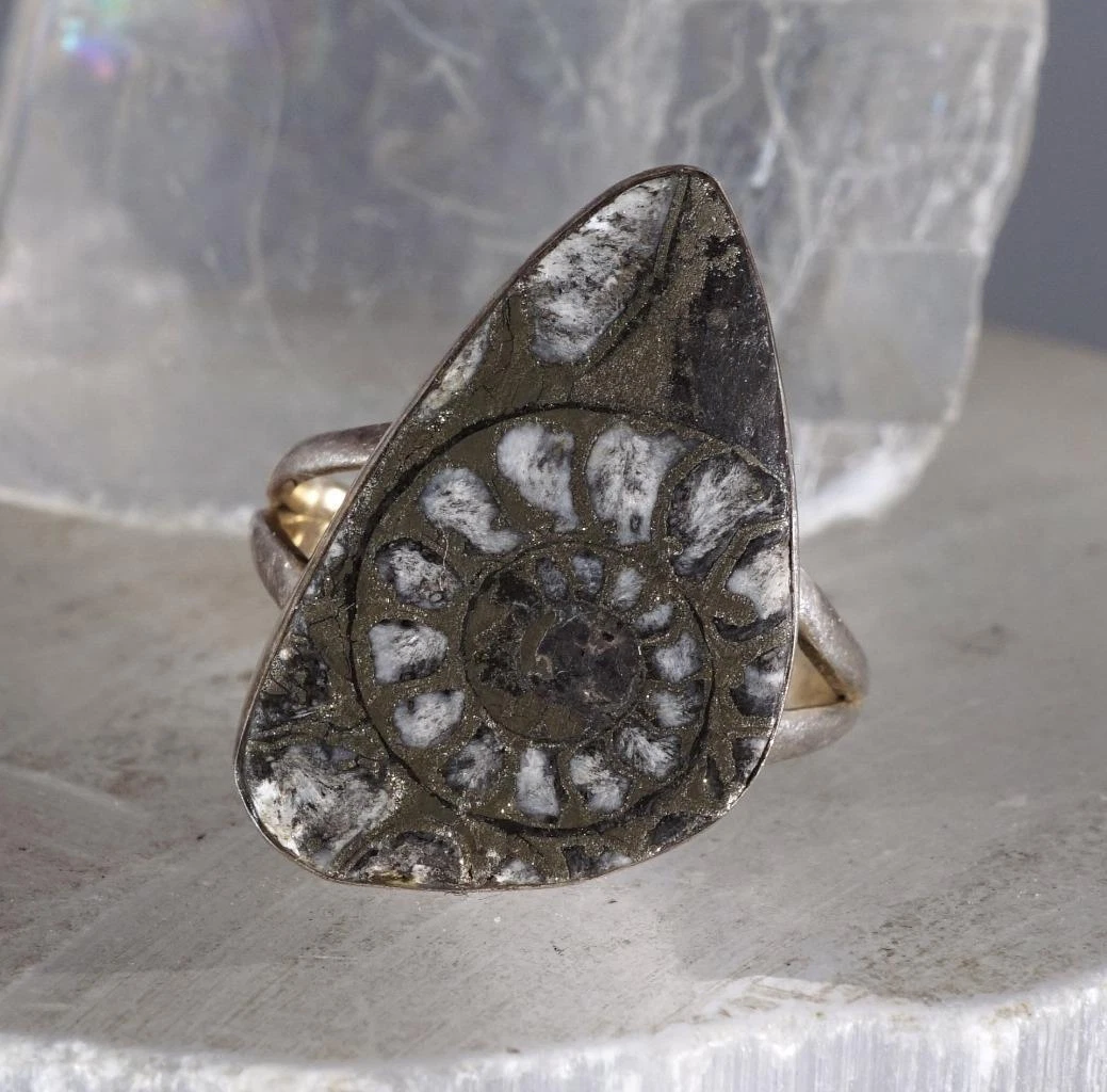 Fossil rings shop