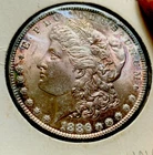 1886 MORGAN SILVER  DOLLAR BEAUTIFULLY TONED COLLECTOR QUALITY COIN M-1696