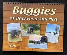 Amish Horse "Buggies of Backroad America" 2025 Calendar Multiple States New