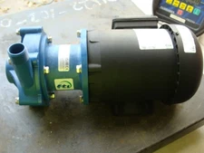 FINISH THOMPSON MAGNETIC DRIVE PUMP DB8P-2-M227 W/WEG MOTOR 5036ES3E56C-S 0.50HP