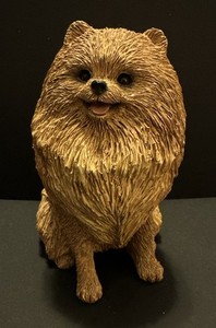 2006 Sandicast Pomeranian Dog Puppy - Brue