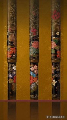 Pilot Commemorative Fountain Pen 