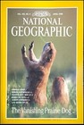 National Geographic Magazine - April 1998 The Vanishing Prairie Dog Orinoco Riv