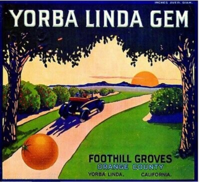 Yorba Linda Gem Brand Oranges Citrus Fruit Crate Label Vintage Art Print