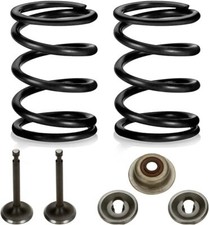 26lb Valve Springs with Retainer Kit for Predator 212cc 196cc 224cc 26 pound