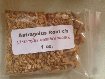 1 oz. Astragalus  Root c/s (Astragalus membranaceus)