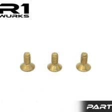 V21 Titanium Timing Screw 020097