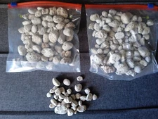 Lot of tiny Pumice , floating stone , Lava , 150 gr
