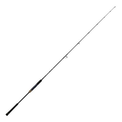 Daiwa SALTIGA J LOWRESPONSE 62S-3/4 Image 1 Spinning Rod | eBay