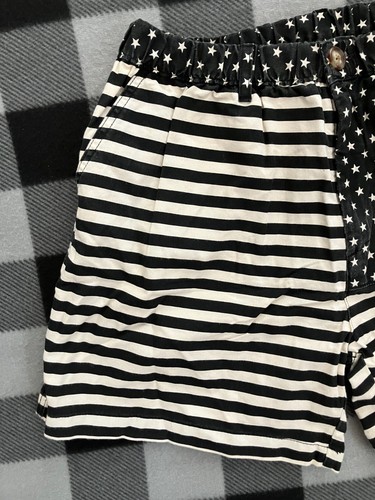 Chubbies Shorts Mens XL American Flag Mericas 5 Inch Inseam Cotton USA - Picture 2 of 9