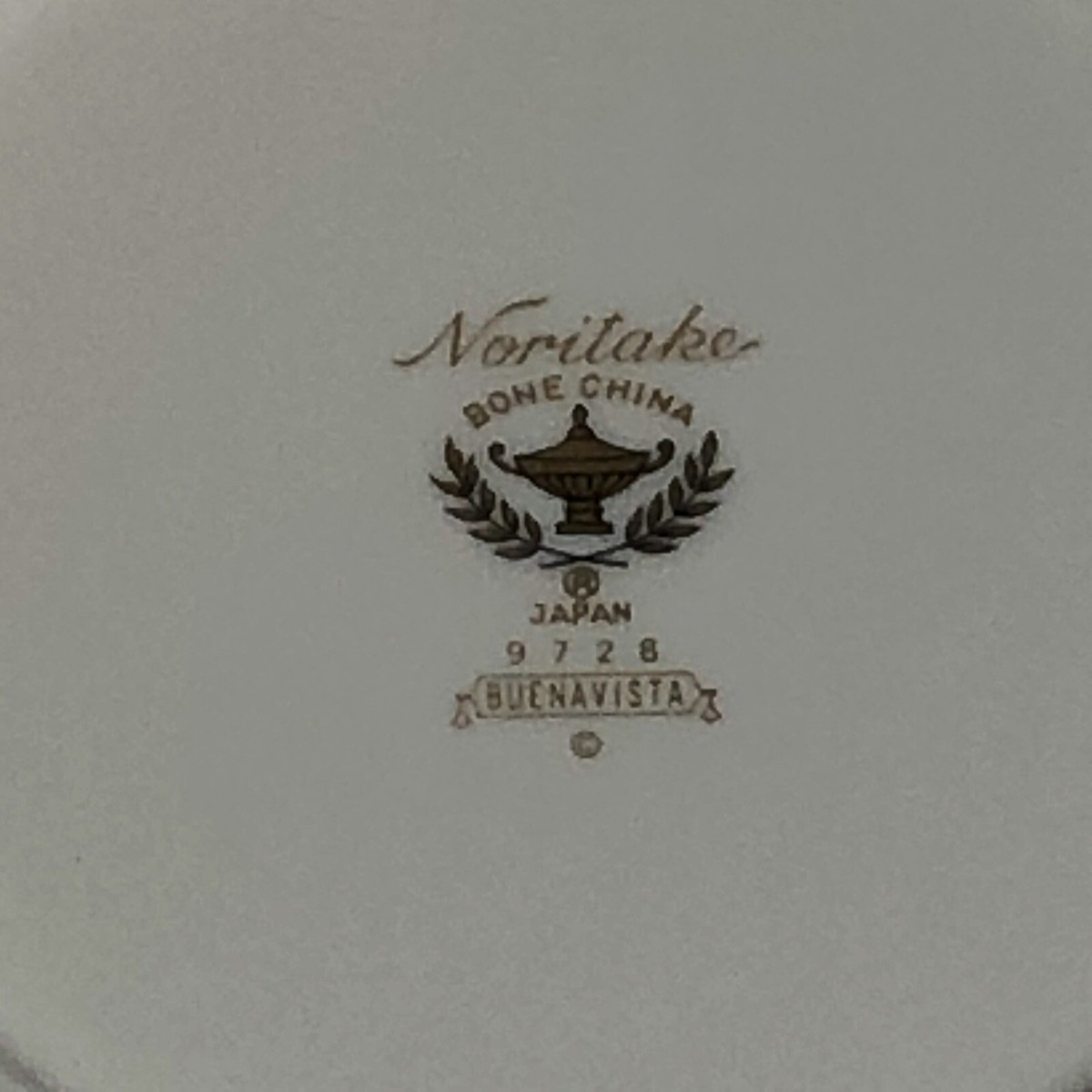 1 Noritake Buena Vista Salad Plate 8 1/4