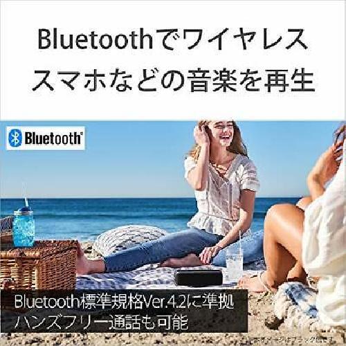Sony Wireless Portable Speaker Srs-Xb22: Waterproof / Dustproof / Rust / Bluetoo - Picture 7 of 12