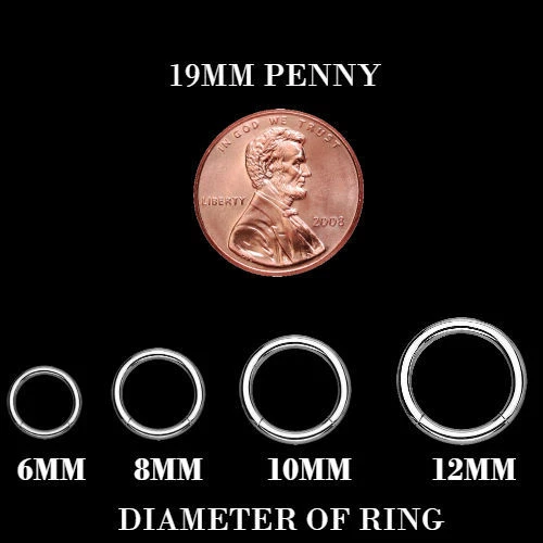 Hinged Septum Clicker Segment Nose Ring Lip Ear Cartilage Daith 18G,16G,14G- ONE - Image 4 of 4