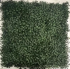 Artificial grass. Beautify any space. New. Sold by the box. 12 mats per box