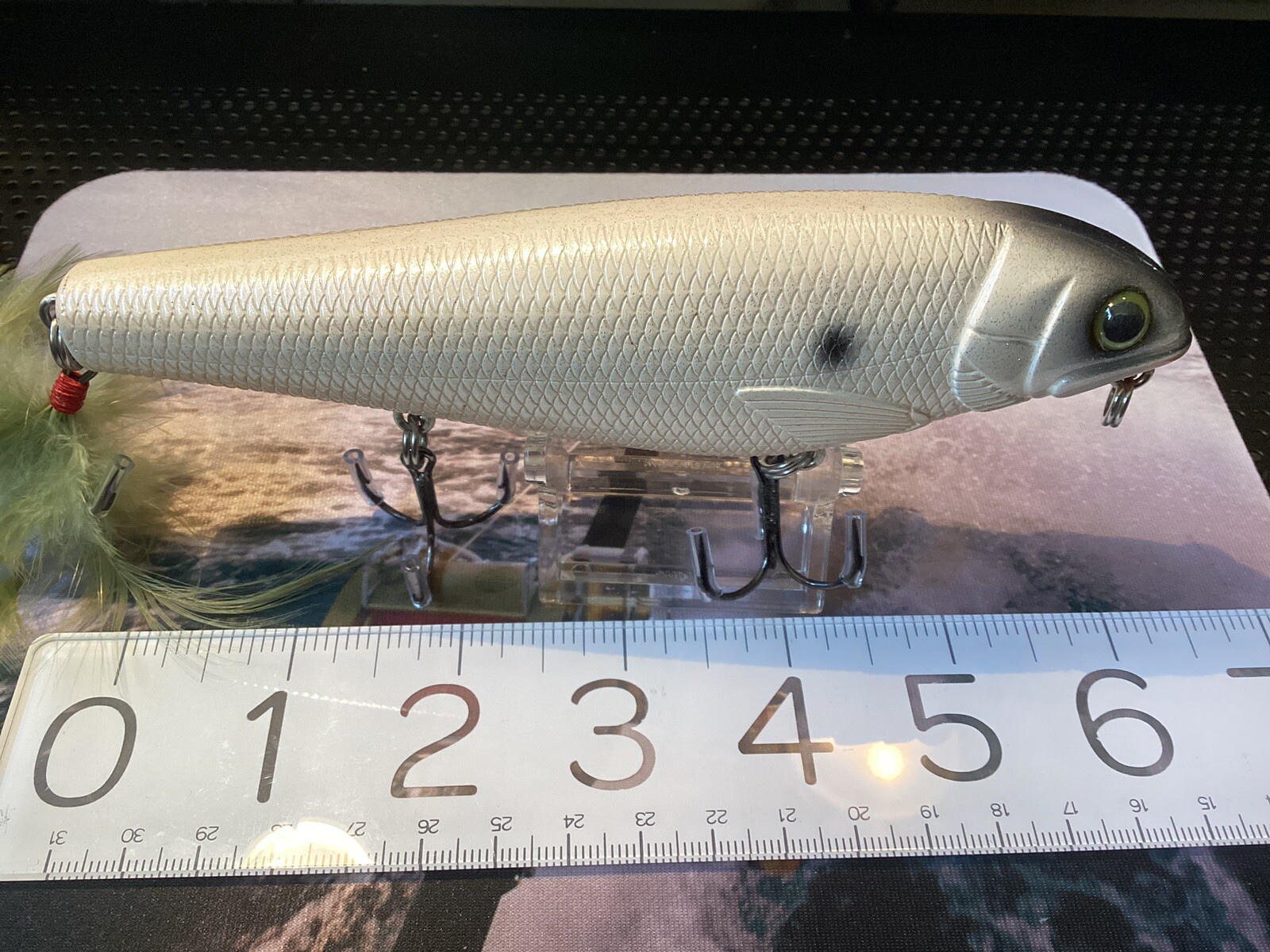 Black Dog Bait Company Rattle Lunker Punker G2 6” Fishing Lure eBay