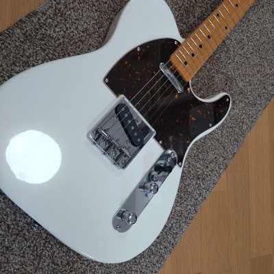 Grass Roots G-Te/M Telecaster type Snow White Electric