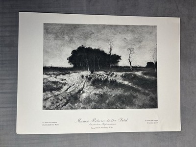 The Return To The Fold von Anton Mauve - 1929 Kunstdruck - The World's Famous