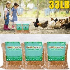 33LB Dried BSF Mealworms Natural Non-GMO Dried High Protein Fit Birds Chicken US