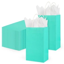 DjinnGlory 100 Pack Small Size Teal Blue Paper Gift Bags with Handles Bulk 9x...