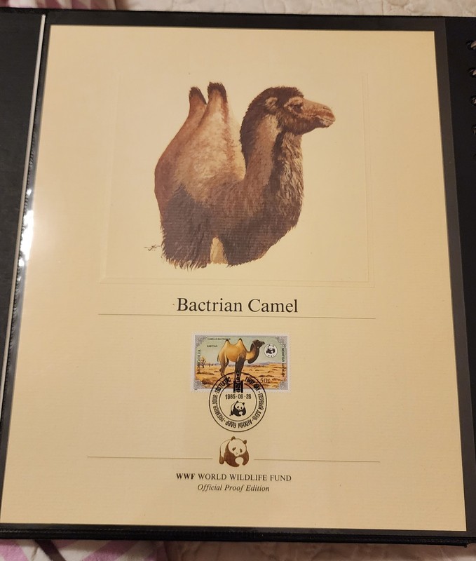 WWF FDC STAMP PANELS Mongolia Scott #1443-1446 Camel Pictorial 1985 Set Of 4