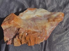 petrified-wood-large-rainbow-color-chunk-with-bark-2-lbs-or-906-grams-arizona