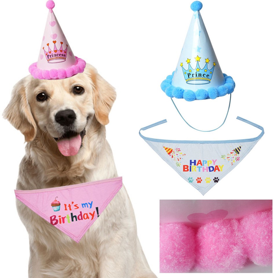 Bandana Compleanno Per Cani - Blu, Lavabile, Per Taglie Piccole, Medie E Grandi, Con Scritta Happy Birthday - Foto 2