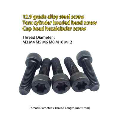M3 M4 M5 M6 M8 M10 M12 G12.9 Alloy steel Torx cylinder knurled head screws bolts
