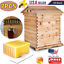 thumbnail 1  - 7PCS Beekeeping Honey  Beehive Frames &amp; Beekeeping Brood Cedarwood Box House Set