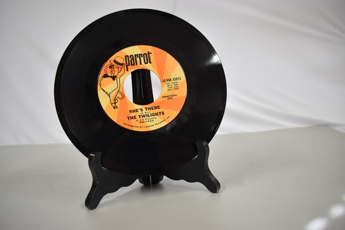 RARE THE TWILIGHTS, TAKE WHAT I GOT / SHE'S THERE PARROT 45013 NM RARE