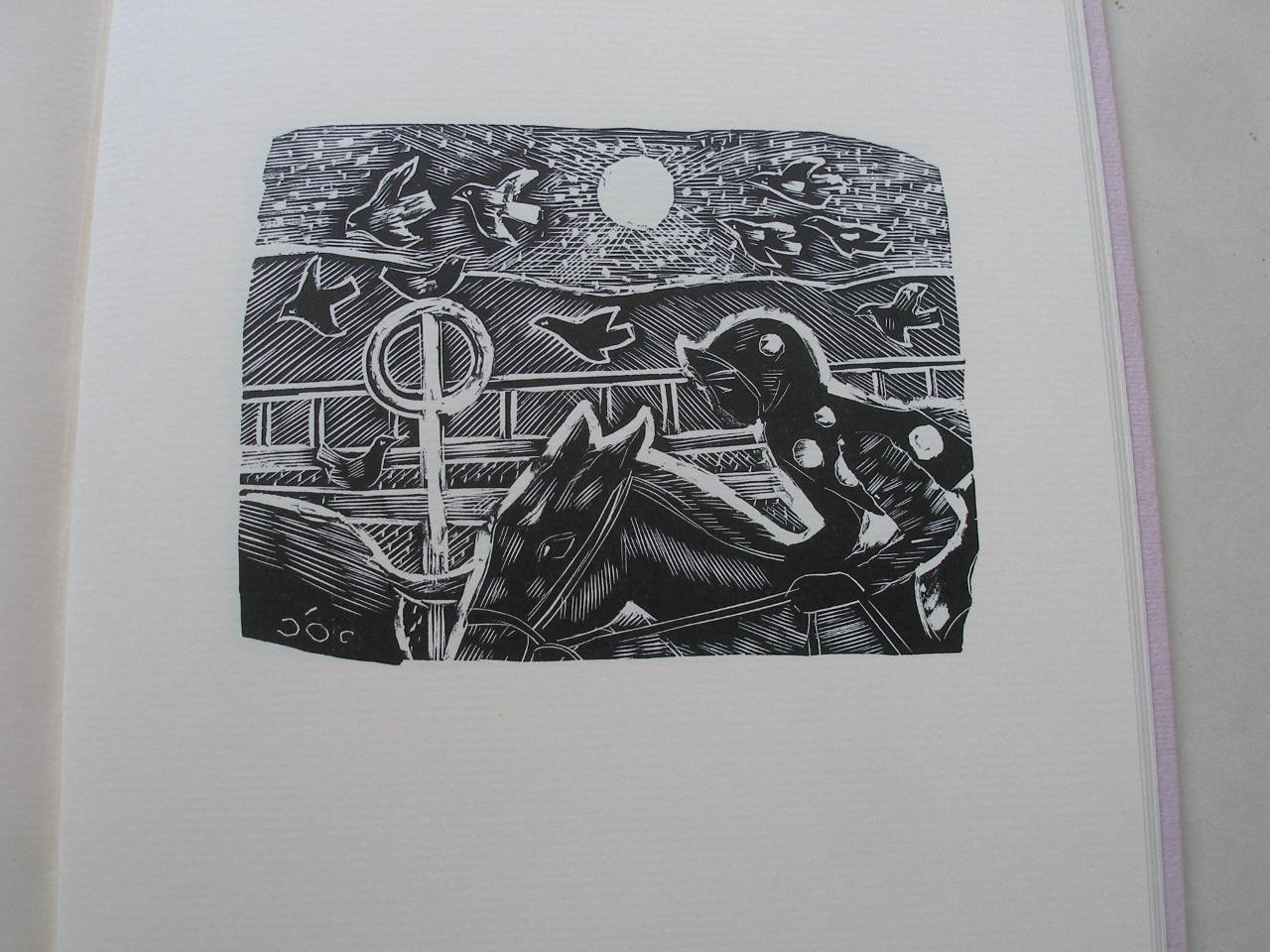 Picture 8 of 10