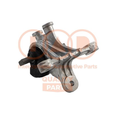 IAP QUALITY PARTS Motorlager Vorne für DR DR Zero 2 138-25000