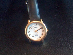 timex indiglo wr 30m cr1216 cell