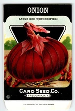 Large Red Onion 1920's Card Seed Co Packet EMPTY Vintage Fredonia New York NY