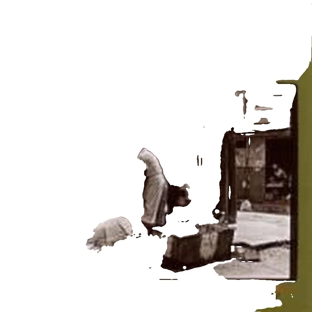 Tren Reggae, Ska y Dub CD de Música