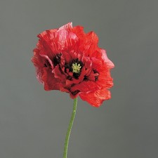 künstliche Mohnblume rot H. 82cm mit großer Blüte DPI Kunstblumen WA