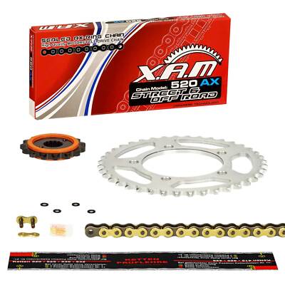 Kettensatz Yamaha XTZ 660 Z Tenere (4MD) 94-95, XAM AX EXTRA GOLD G&B, X-Ring, S