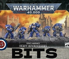 Warhammer 40K Primaris Space Marine HEAVY INTERCESSOR kill team templar angel