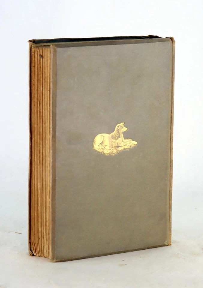Lady Florence Dixie Julius Beerbohm 1st Ed 1880 Across Patagonia Hardcover - Image 2 of 4