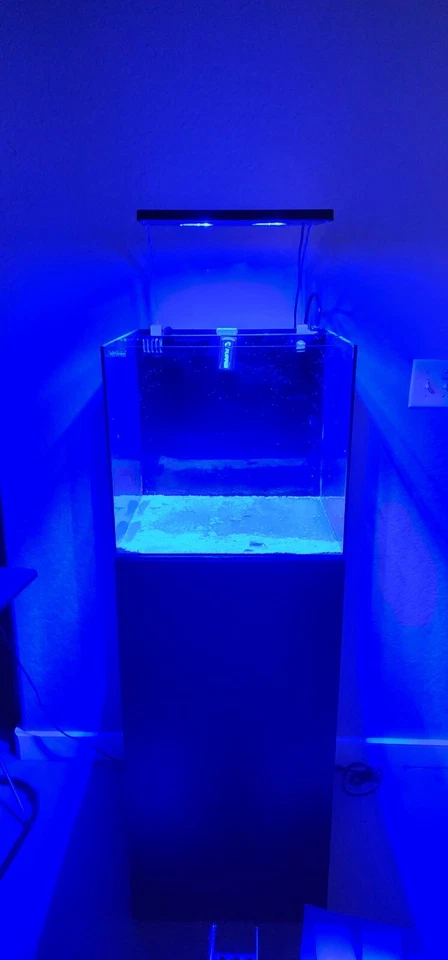 Waterbox 20 gallon AIO Full Aquarium - Image 3 of 4