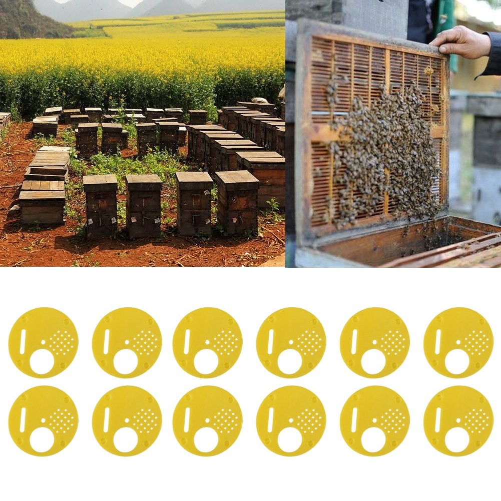 12 Pcs Bee Nuc Box Durable Entrance Gates For Beekeeping Equipment