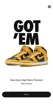 Nike Wu-Tang Dunks Size 10