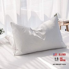 Luxury Feathers Down Pillow Standard Standard(Pack of 1) Standard(Pack of 1)