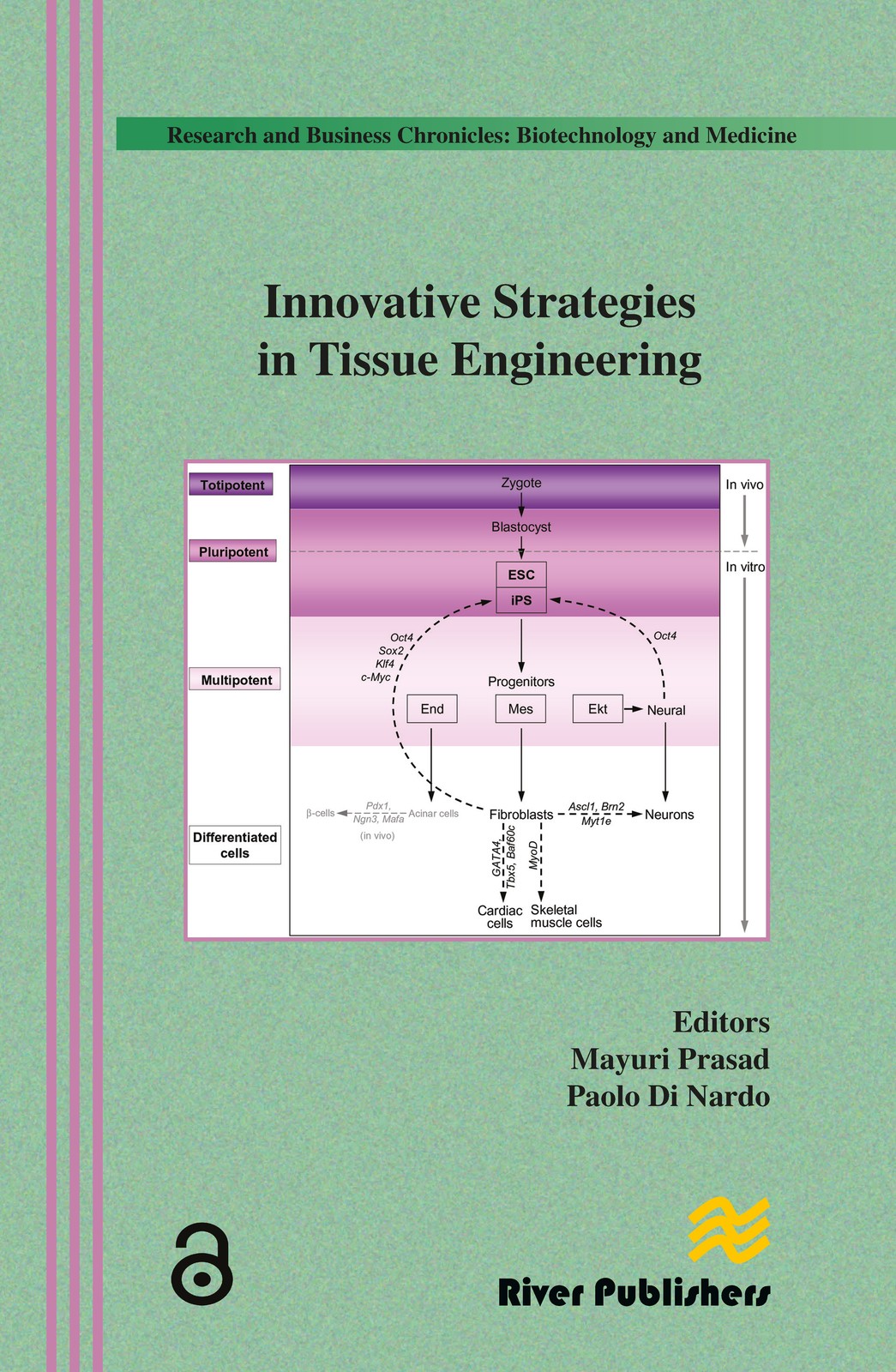 Innovative Strategies in Tissue Engineering