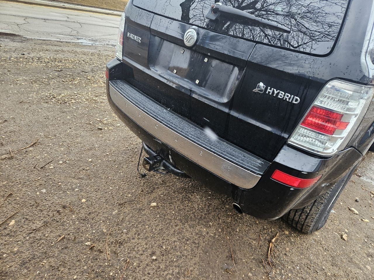 Trunk/Hatch/Tailgate Privacy Tint Glass Fits 08-09 ESCAPE 292883