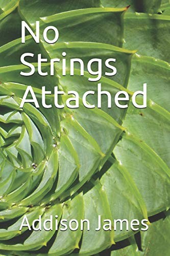 NO STRINGS ATTACHED: A SHORT STORY COLLECTION By Addison N James **BRAND NEW**