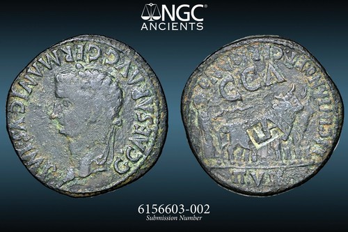 CALUGLIA - NGC Ch F 5/5 2/5 - SCARCE REV COUNTERMARK - AE30 - 195