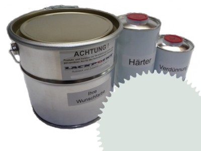 5 Liter Set 2K Automotive Paint Ral 9018 Papyrus-White Matte No Clear Coat Colo