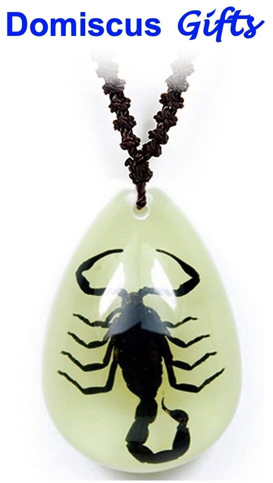 Real Black Scorpion Pendant in Lucite Resin Necklace Fashion Jewelry |  Scorpio jewelry, Animal jewelry, Fashion jewelry necklaces