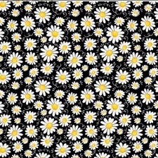 Timeless Treasures Fabric Blooming Daisies Home Is Where My Honey Is Collection
